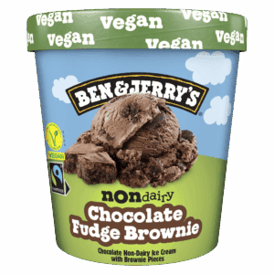 B&J Vegan Chocolate Fudge Brownie 465ml-8 stk í p